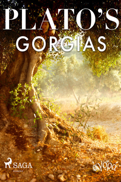 Omslag: Platoâ s Gorgias