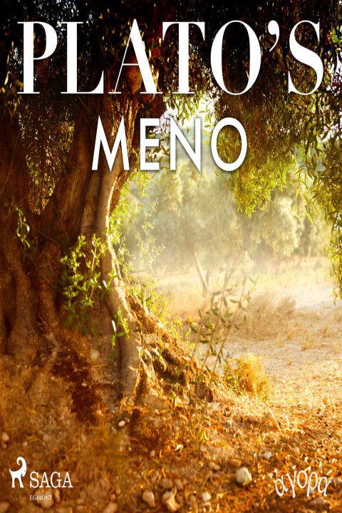 Omslag: Platoâs Meno