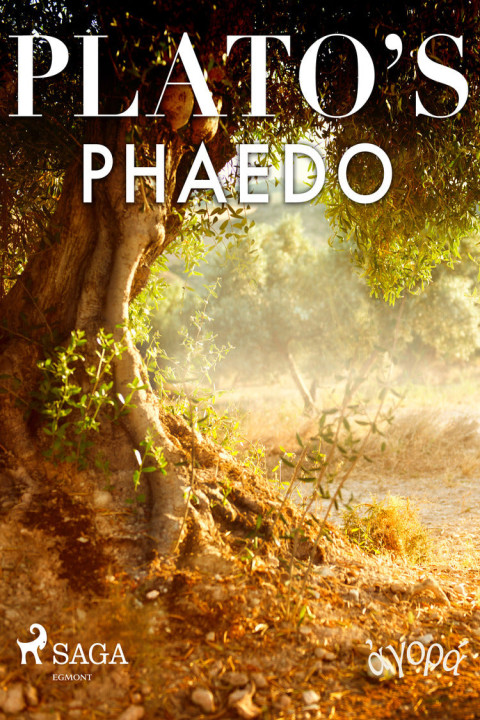 Omslag: Platoâ s Phaedo