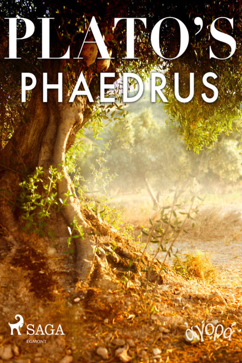 Omslag: Platoâ s Phaedrus