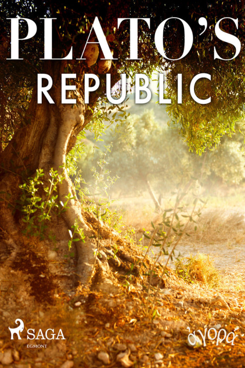 Omslag: Platoâ s Republic