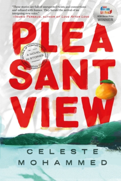 Omslag: Pleasantview