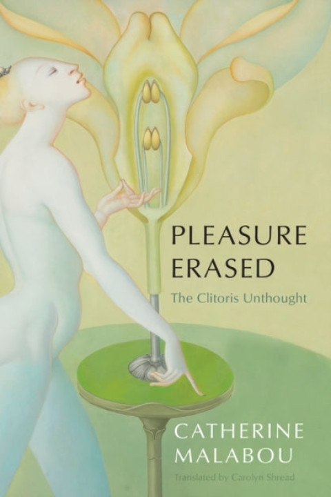 Omslag: Pleasure Erased
