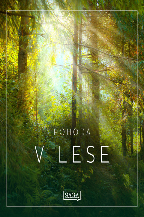 Omslag: Pohoda - V lese