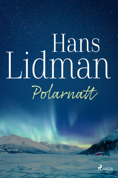 Omslag: Polarnatt
