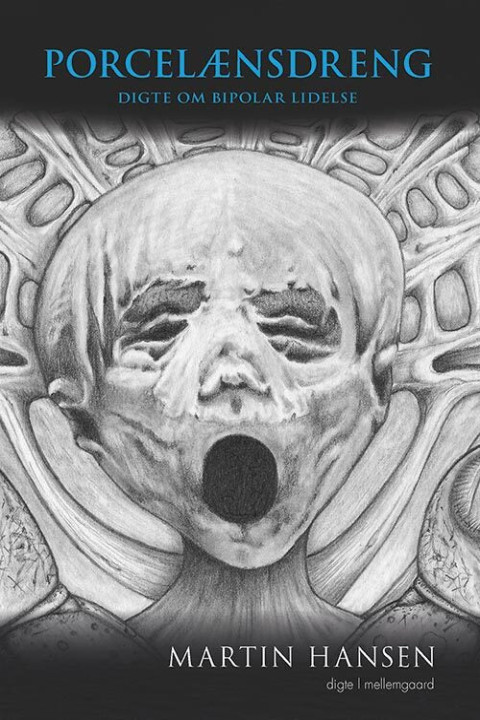 Omslag: Porcelænsdreng