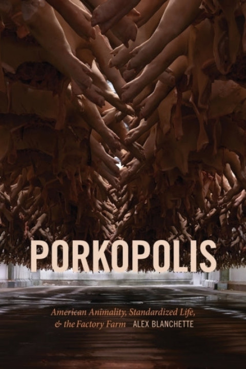 Omslag: Porkopolis