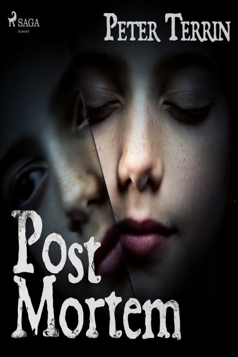 Omslag: Post mortem