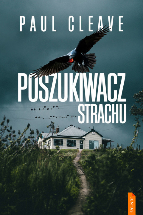 Omslag: Poszukiwacz strachu