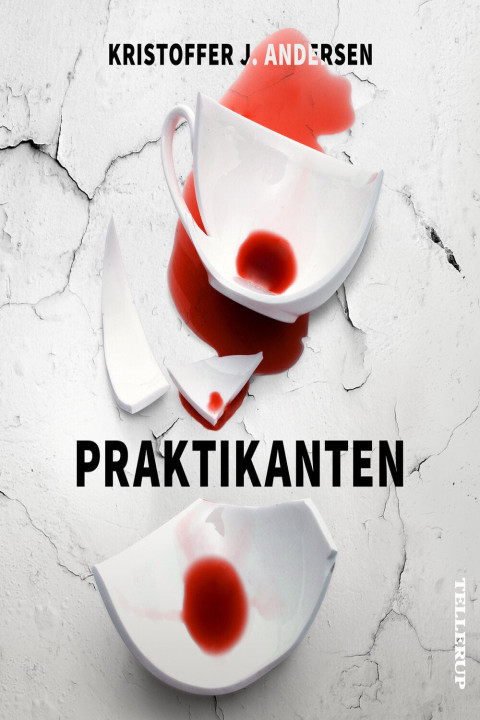 Omslag: Praktikanten
