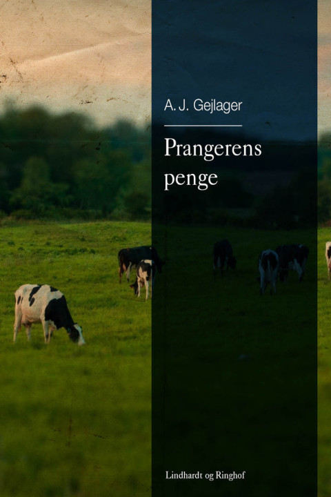 Omslag: Prangerens penge