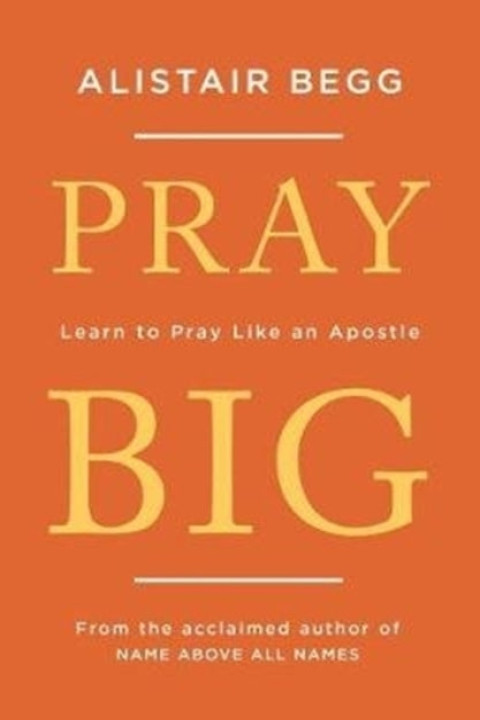 Omslag: Pray Big