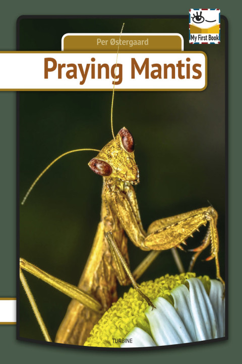 Omslag: Praying mantis