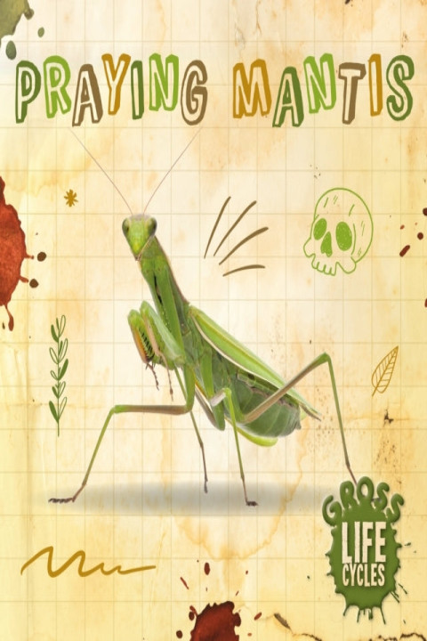 Omslag: Praying Mantis