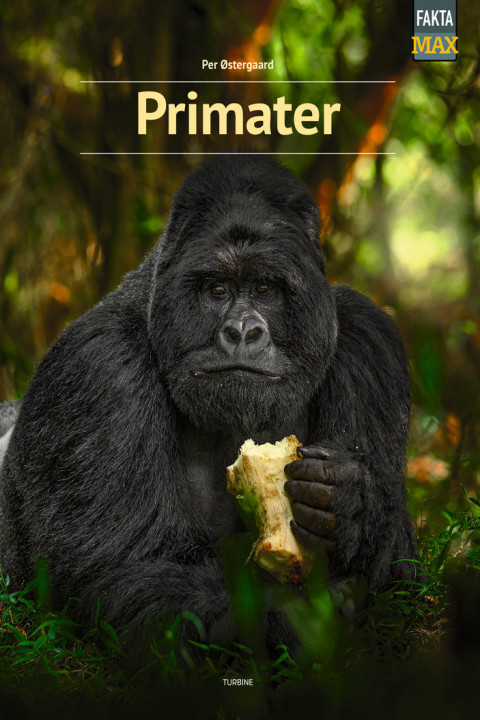 Omslag: Primater