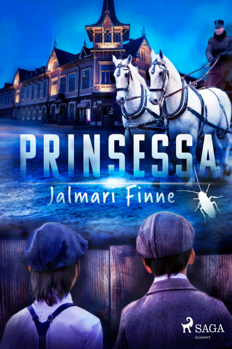 Omslag: Prinsessa