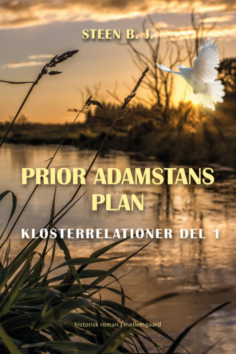 Omslag: Prio Adamstans plan