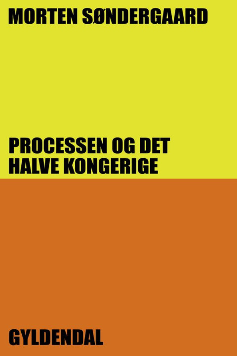 Omslag: Processen og det halve kongerige