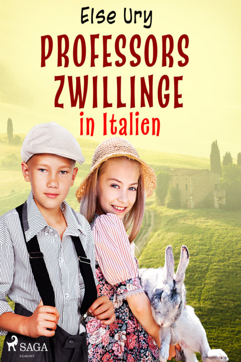 Omslag: Professors Zwillinge in Italien