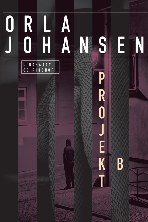 Omslag: Projekt B
