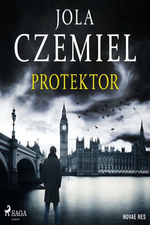 Omslag: Protektor