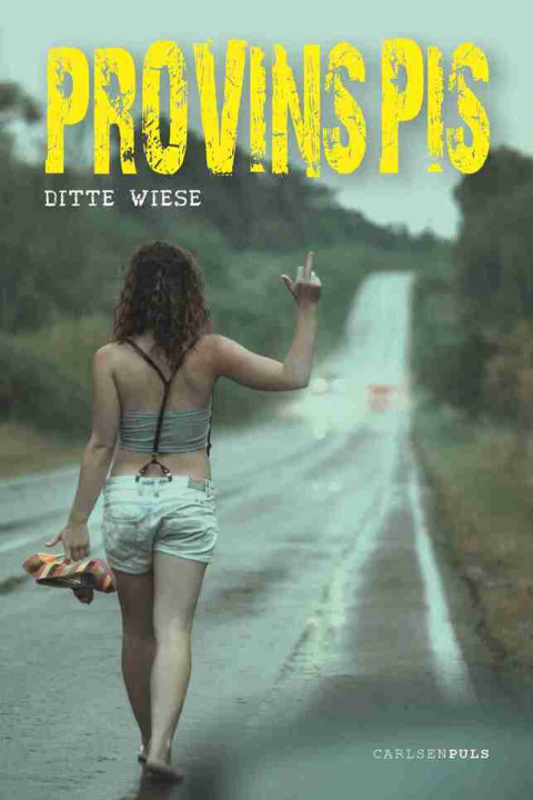 Omslag: Provinspis