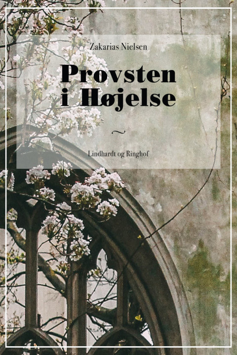 Omslag: Provsten i Højelse
