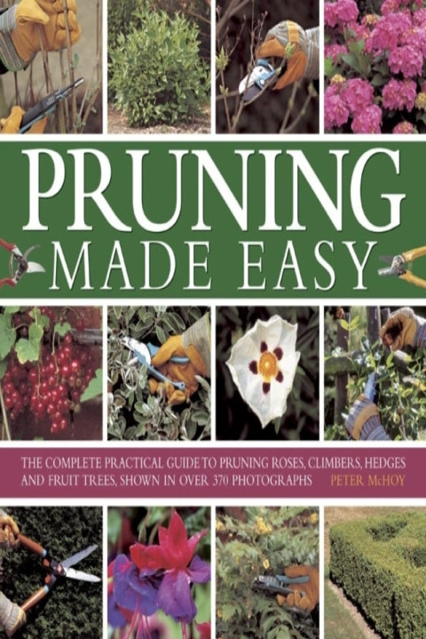 Omslag: Pruning Made Easy