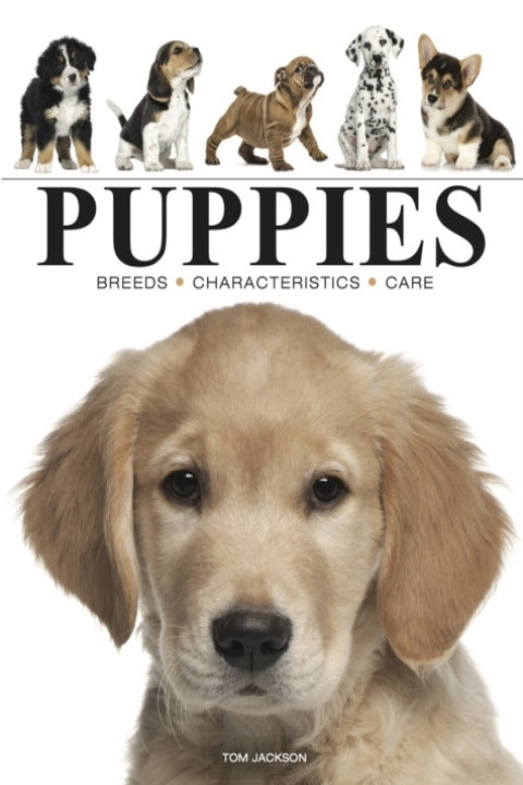 Omslag: Puppies