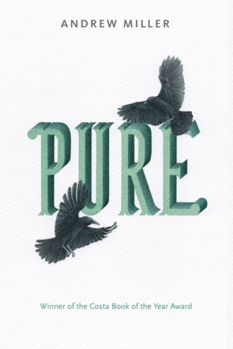 Omslag: Pure