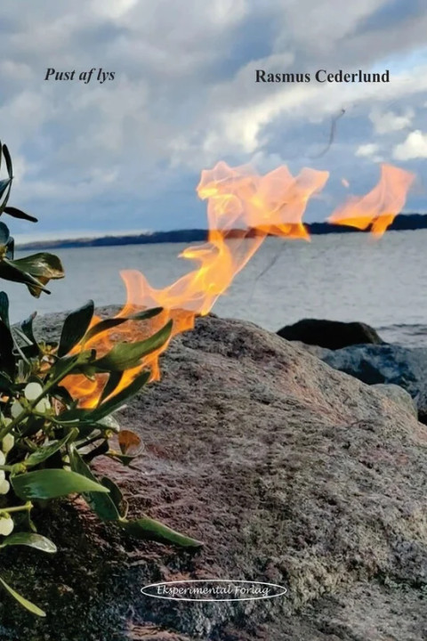 Omslag: Pust af lys