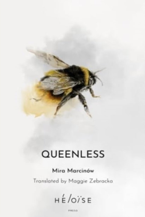 Omslag: Queenless
