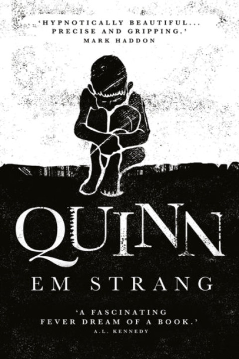 Omslag: Quinn Hypnotically Beautiful - Mark Haddon