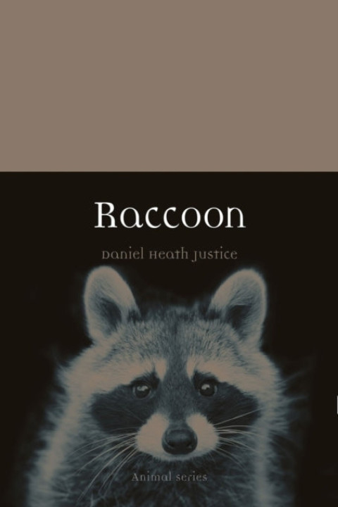 Omslag: Raccoon