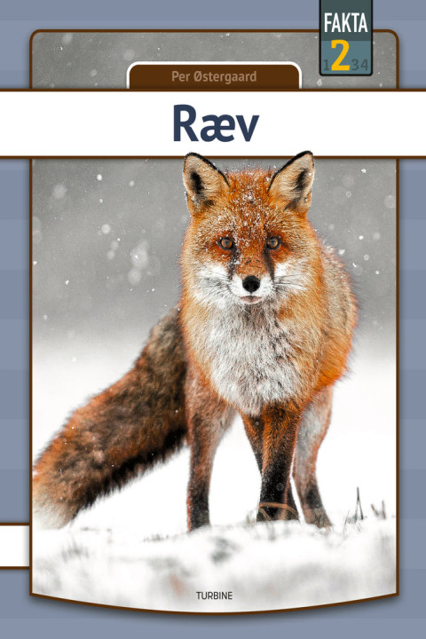 Omslag: Ræv