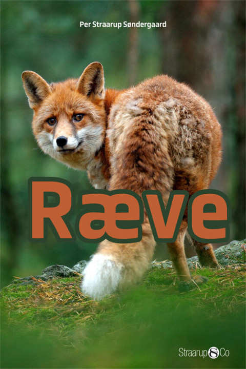 Omslag: Ræve