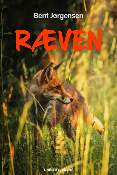 Omslag: Ræven