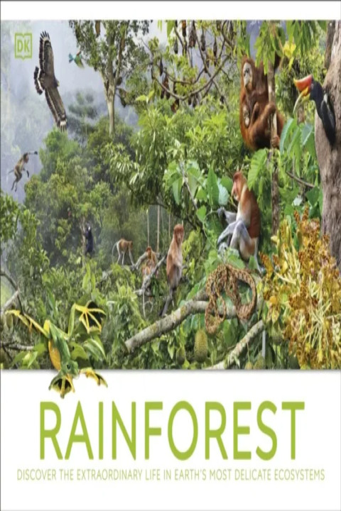 Omslag: Rainforest