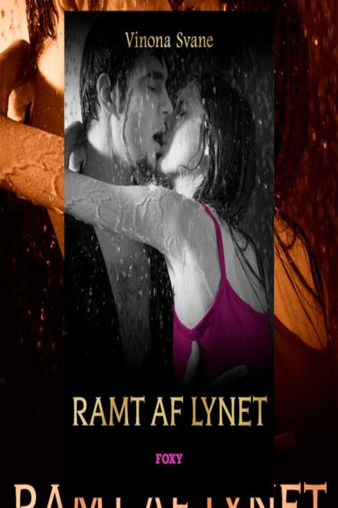 Omslag: Ramt af lynet