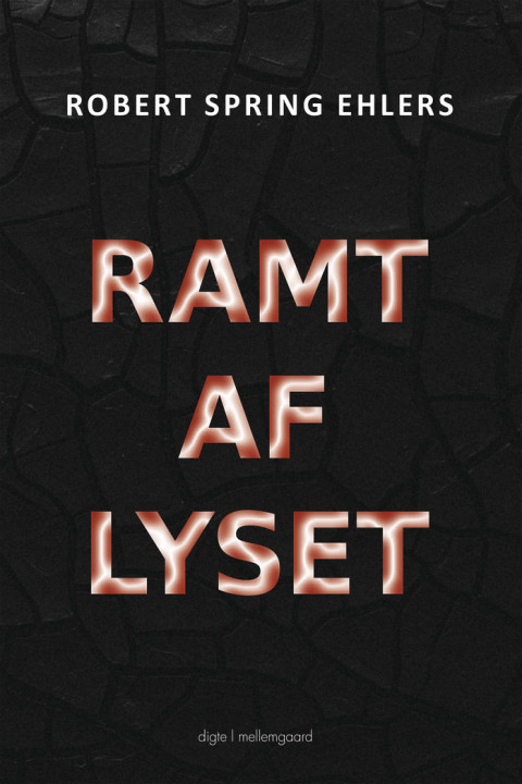 Omslag: Ramt af lyset
