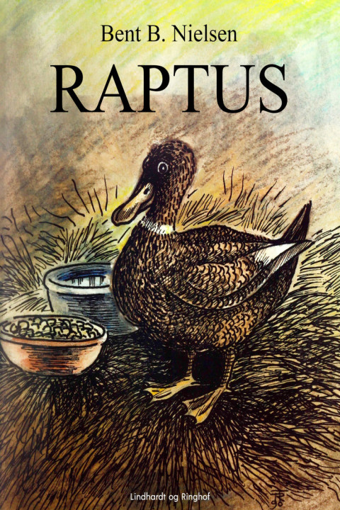 Omslag: Raptus