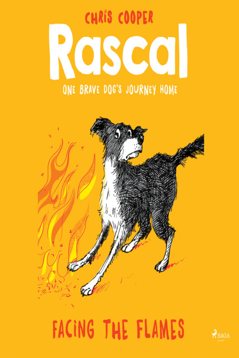Omslag: Rascal 4 - Facing the Flames