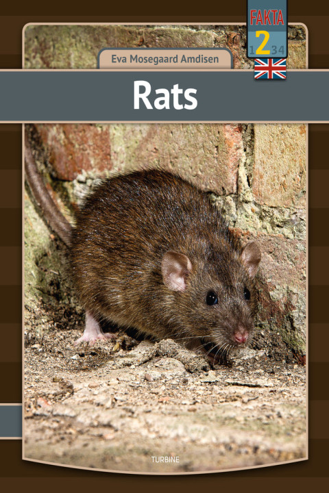 Omslag: Rats