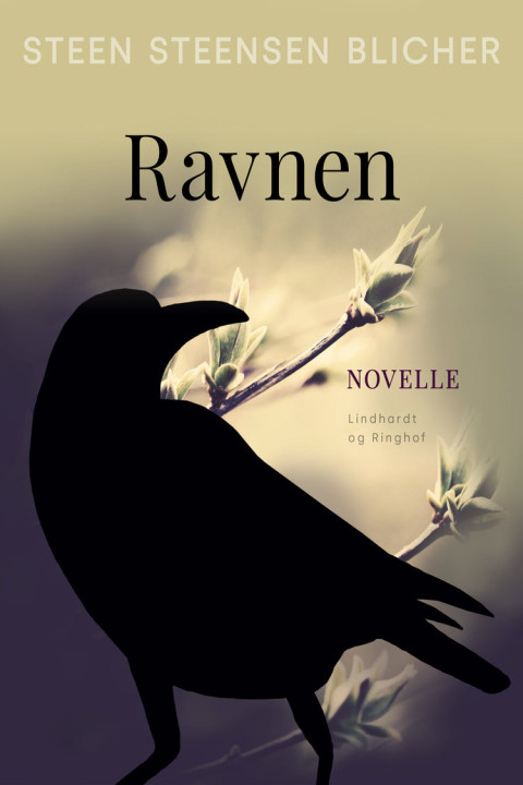 Omslag: Ravnen