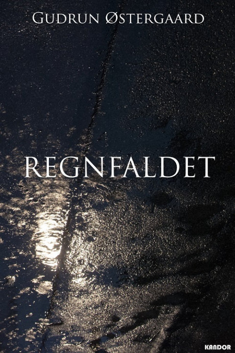 Omslag: Regnfaldet