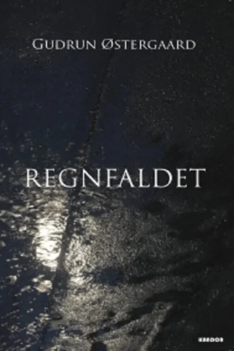 Omslag: Regnfaldet