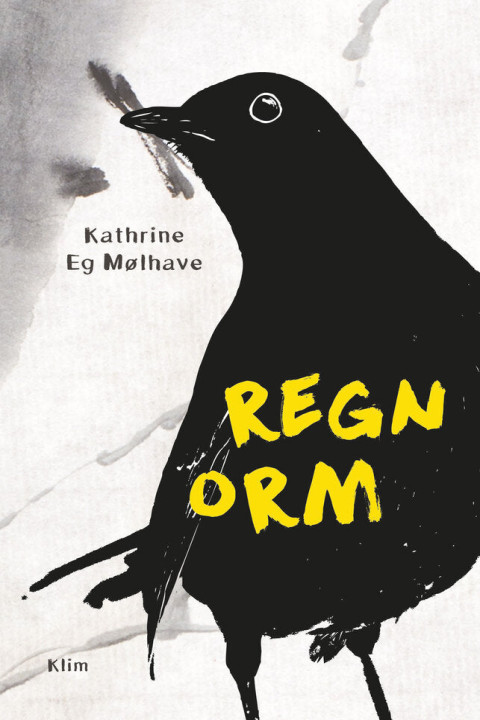 Omslag: Regnorm