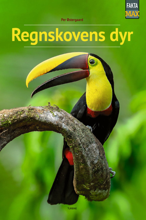 Omslag: Regnskovens dyr