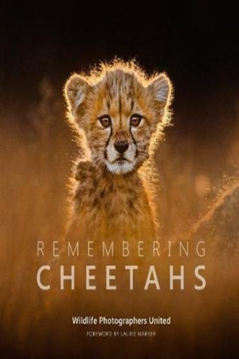 Omslag: Remembering Cheetahs