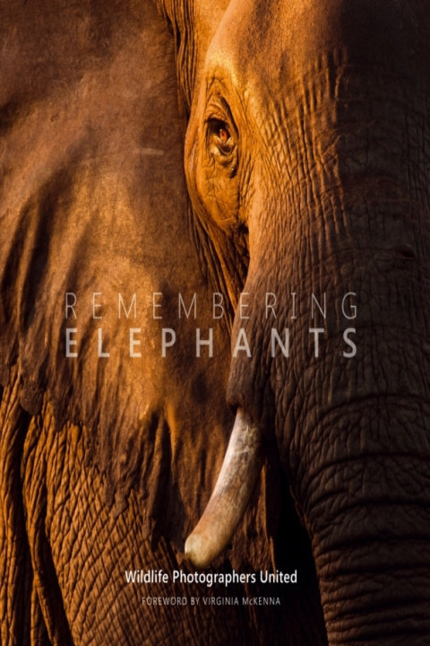 Omslag: Remembering Elephants